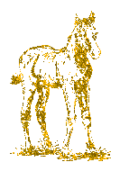 cheval jaune brillants